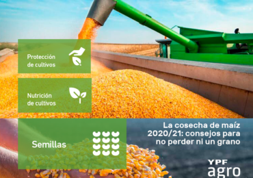 La cosecha de maíz 2020/21: consejos para no perder ni un grano