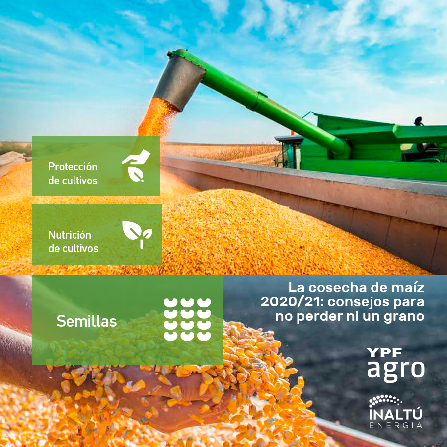 La cosecha de maíz 2020/21: consejos para no perder ni un grano